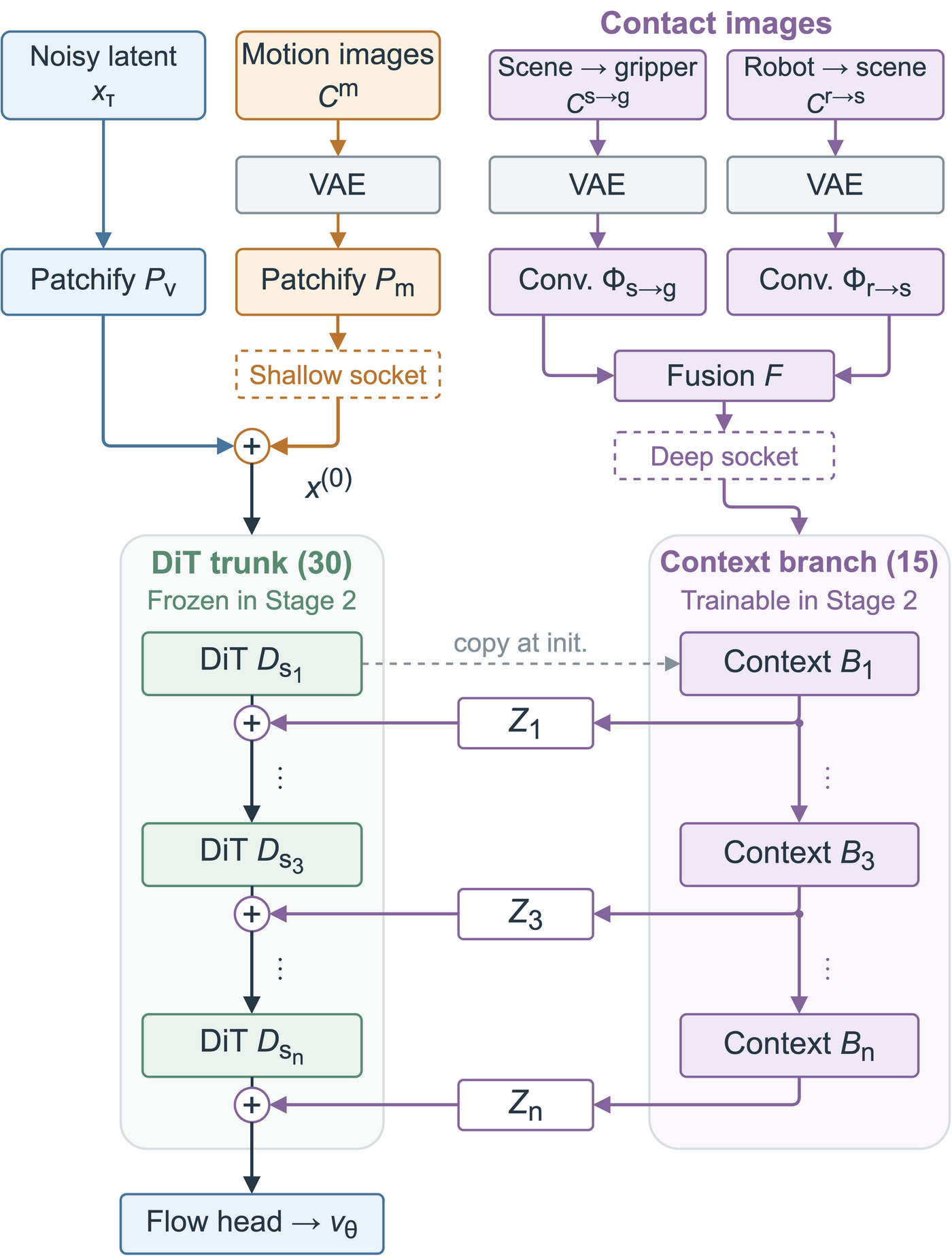 Representation-aware hybrid injection: motion images enter the shallow latent, contact images enter a deep context branch with zero-initialized projections.